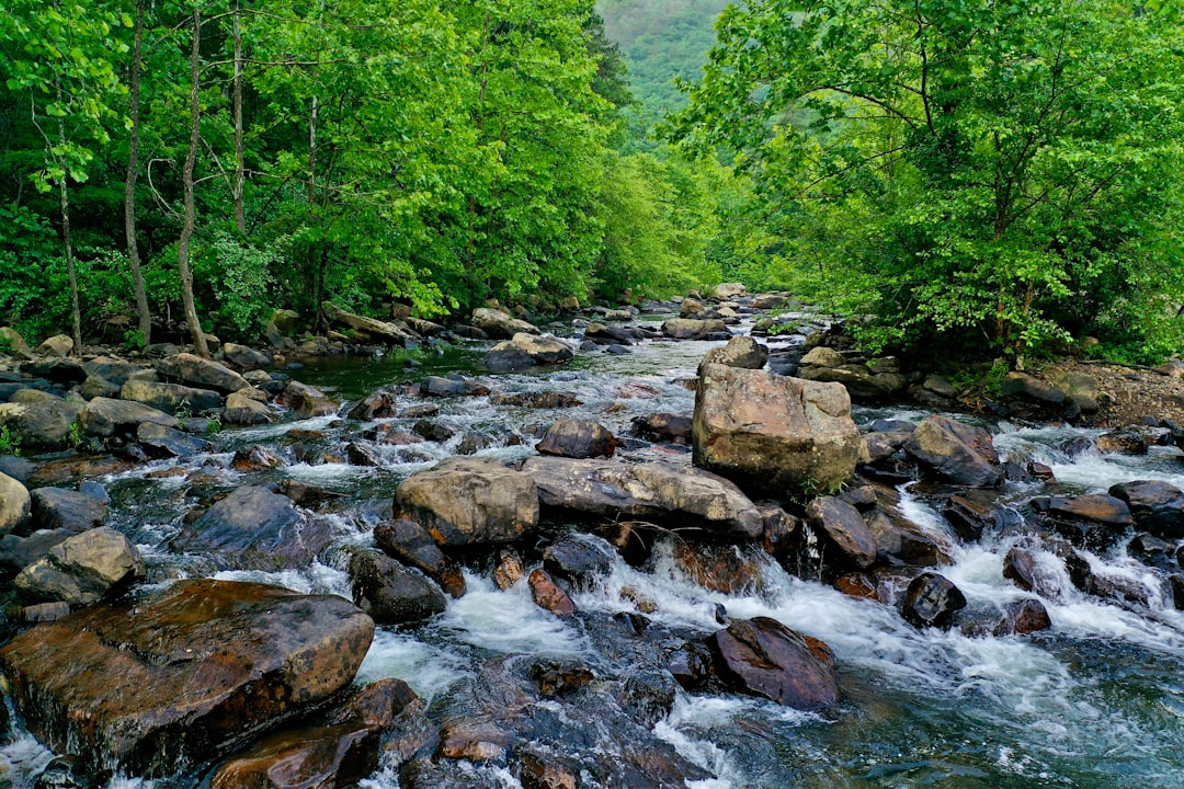 Course Design as an Ecosystem: What Happens Upstream Matters Downstream