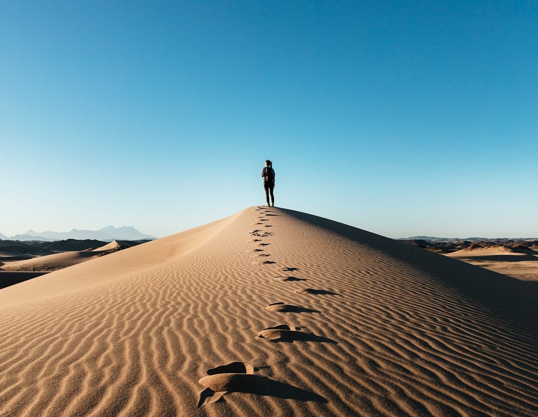 From Optional to Essential: Rethinking Placement in Higher Education