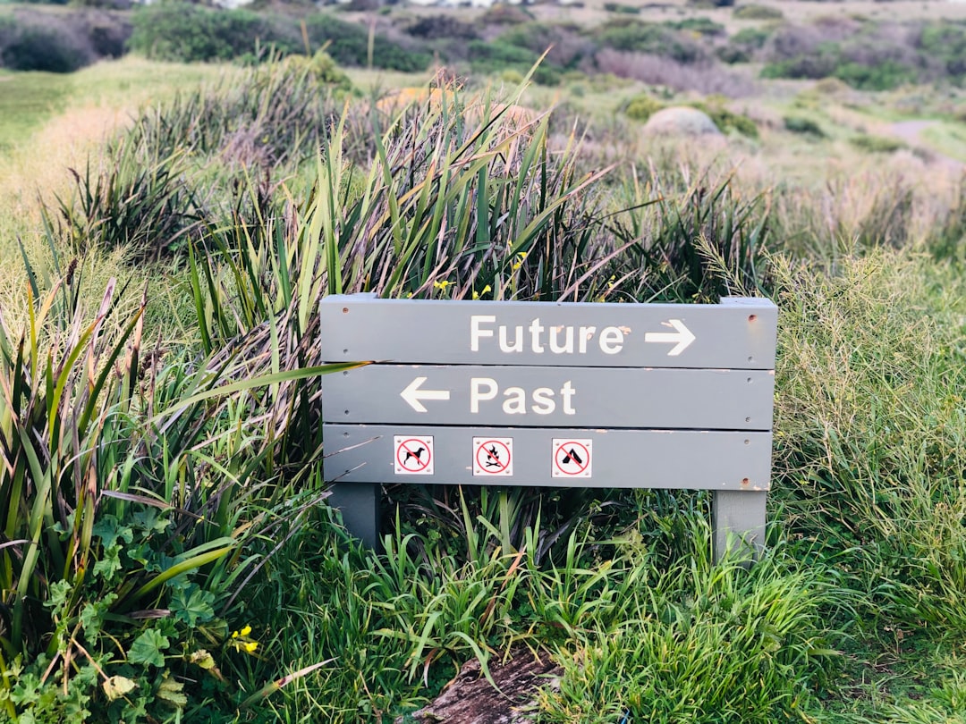 Can Your Faculty See Its Future?